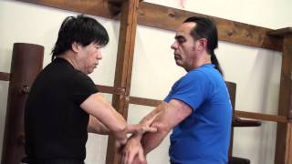 An Introduction to Wing Chun for MMA & Self Defense screenshot 4