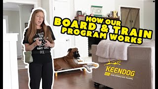 How Our Board & Train Program Works