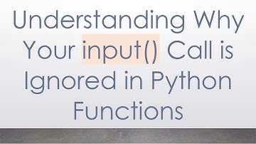 Understanding Why Your input() Call is Ignored in Python Functions