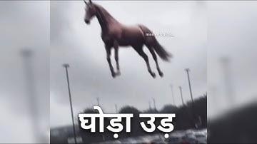 Ultimate "India Is Not For Beginners" Compilation Part 2