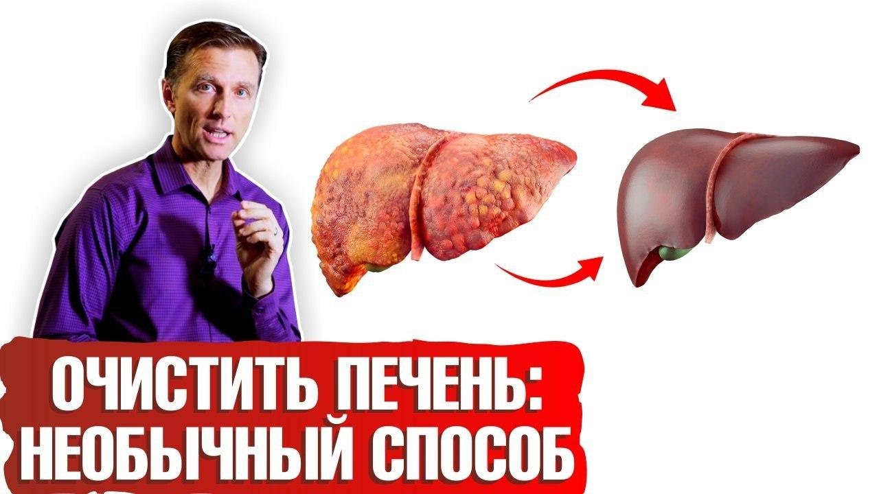 Как очистить печень от жира? Необычный способ