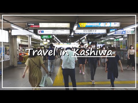 【Japan Walk】Kashiwa City in Chiba | A Few Hours Trip From Tokyo or Narita