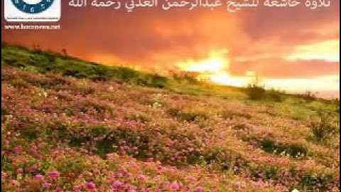 تلاوه خاشعه عبد الرحمن العدني