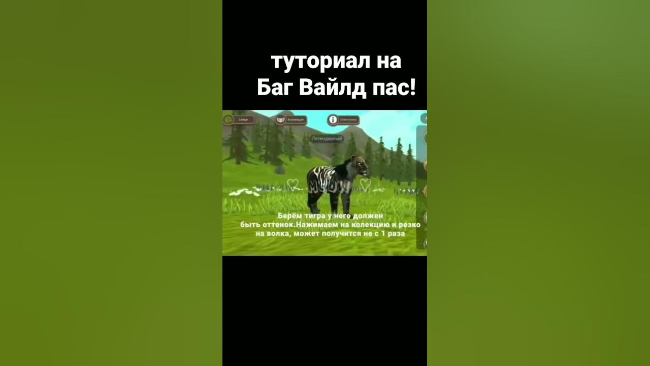 Туториал на Вайлд пас бесплатно - YouTube