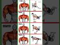 chest home workout #anime #animeedit #onepunchman #editaudio #art#fitnesss#music #animemusic