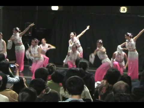 Ode to the Plum Blossom