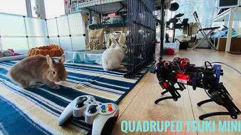 Quadruped Robot Tsuki Mini and Rabbis 2