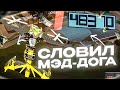 СЛОВИЛ ОСОБНЯК *МЭД-ДОГА* на ARIZONA RP? ВПЕРВЫЕ ЛОВЛЮ НА АРИЗОНА РП! ЛОВЛЯ на АРИЗОНА РП ( samp )