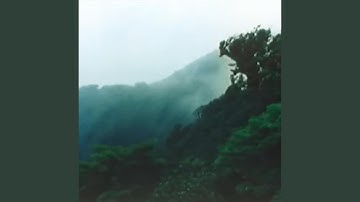 Recognition Protocol 1243