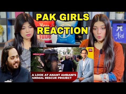 PAKISTANI GIRLS REACTION ON ANANT AMBANI’S ANIMAL RESCUE MISSION UNVEILED 