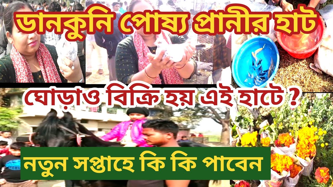 Mexican Markets Near Me Now