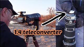1.4 Teleconverter on the Sony 200-600 mm lens. Is it worth it?