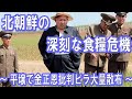 北朝鮮の深刻な食糧危機 ~ 平壌で金正恩批判ビラ大量散布 ~