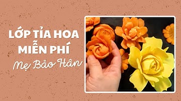 Bài dạy tỉa hoa của lớp tỉa hoa miễn phí Mẹ Bảo Hân