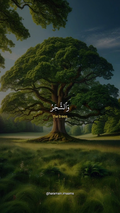 Surah Al Hajj 18 | سورة الحج | Sheikh Yasser Al Dossary | Powerful Recitation of Quran