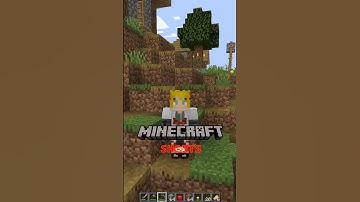 Minecraft Physics Mod 😱... #shorts