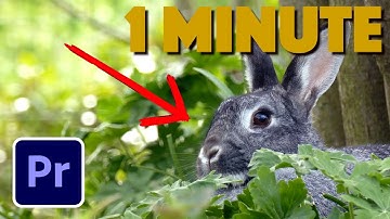 Premiere Pro : How to Add an ANIMATED Arrow