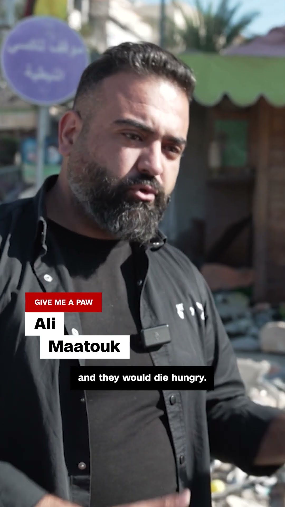 Meet the man who braved bombs to feed Lebanon’s abandoned pets