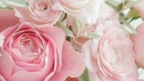 ص(19) سورة البقرة- بصوت القارئ عبد الله أحمد الخلف حفظه الله تعالى ...