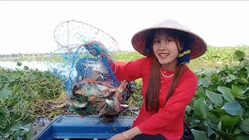 Những ngày đầu tiên tập câu cá và quay Youtube T4 | Câu Cá Miệt Vườn