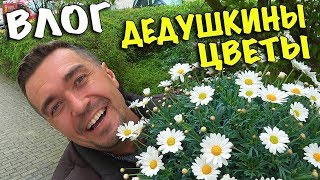 Влог: КУРС ПЕРВОЙ ПОМОЩИ В ГЕРМАНИИ ✔ Возможно наше последнее видео 13.04.2019 Влог: КУРС ПЕРВОЙ ПОМОЩИ В ГЕРМАНИИ ✔ Возможно наше последнее видео 13.04.2019