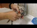 First bath and Feeding a weak street kitten - Whole story of rescue