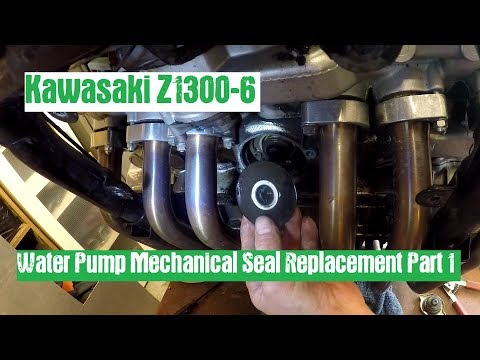 Fat Max - Kawasaki Z1300-6 - Water Pump Mechanical Seal Part 1