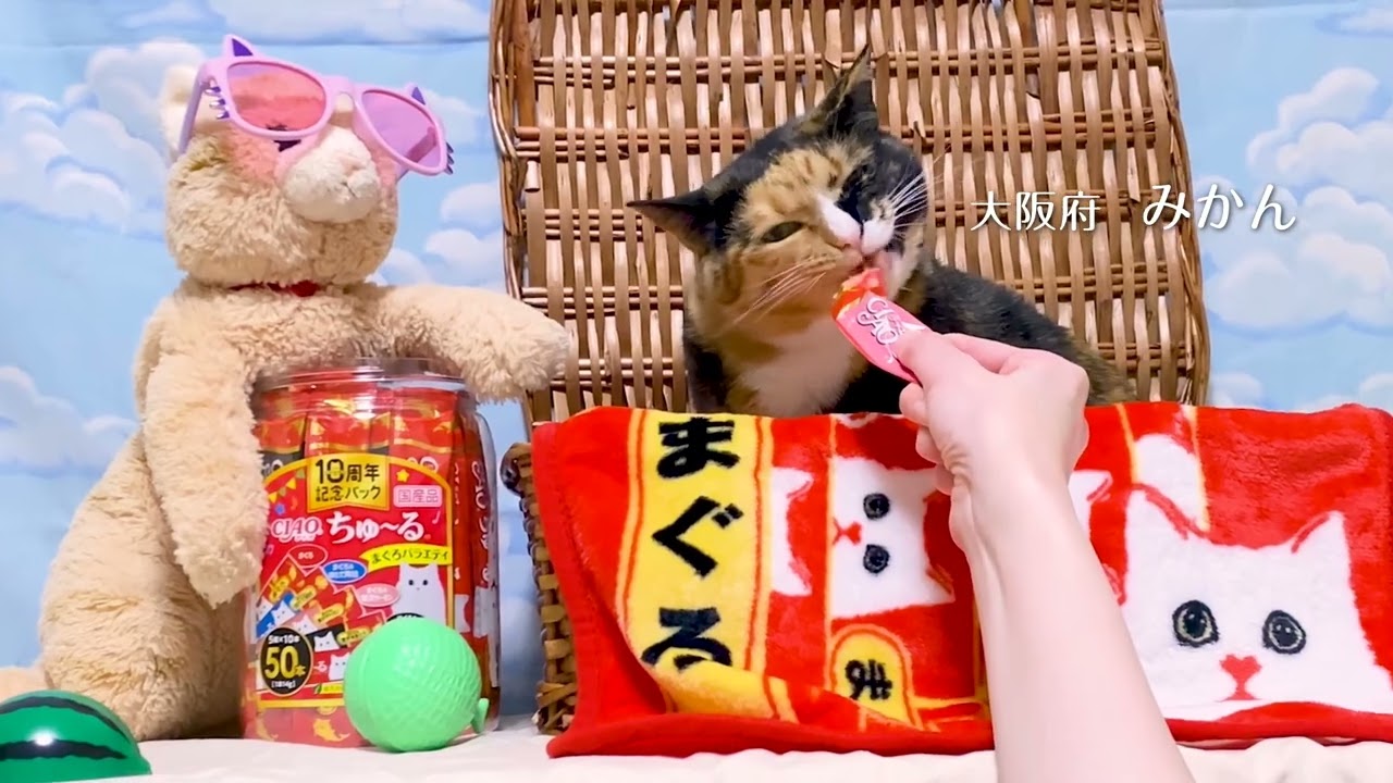 CIAOちゅ～る 2025年春 Part1（いなば食品グループ） - YouTube