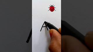 How To Draw Lady Bug Ladybug Drawing