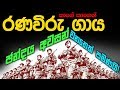 රණවිරුවා,  ගැරහීමට ද නොවේ...  විකිණීමට ද නොවේ  !