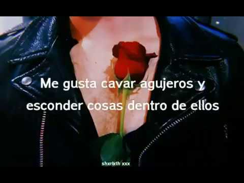 No roots (letra en español) - 5 seconds of summer - YouTube