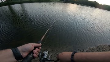 Bass and Crappie Fishing - Rapala Original Floating Minnow Lure  - 6/26/21