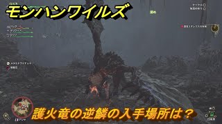 モンハン　火竜の逆鱗　シルバー モンスターハンター】「火竜の逆鱗」オブジェ シルバー |GIV