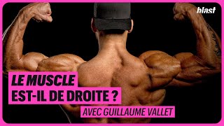 LE MUSCLE EST-IL DE DROITE ?