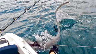 This MONSTER took so long to catch!!! - Friends catch HUGE SHARK | The Fish Locker