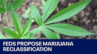 Marijuana: Feds propose reclassification