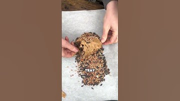 DIY Bird Feeders with Peanut Butter & Bird Seed