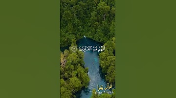 انهم هم الفائزون #سورة_المؤمنون #القرآن_الكريم #سعد_الغامدي #اكسبلور #راحة_نفسية #لايك #تلاوة_خاشعة
