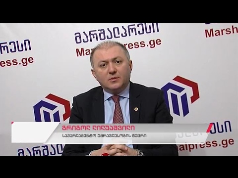 საპარლამენტო უმრავლესობის წევრის გრიგოლ ლილუაშვილის პრესკონფერენცია