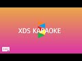 You're The One - ICHIKO [Karaoke]