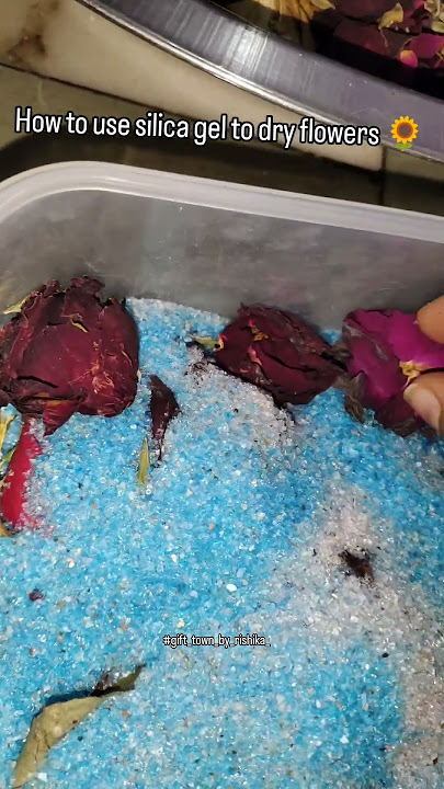 How To use Magic Silica gel for dry flower | #resin #resinstoresurat #resinartist