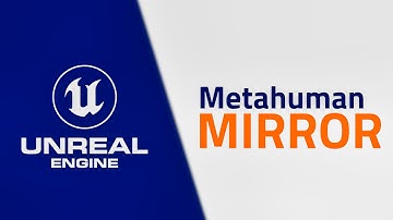Metahumans Mirror Animation - Unreal Engine 5
