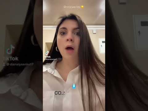 Как происходит фотосинтез🌱❤️