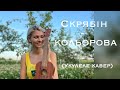 КОЛЬОРОВА-СКРЯБІН (укулеле кавер)|Анастасия Гудзевич| ukulele cover by Anastasia Hudzevych