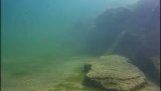 GLDS20251003 141106033 00 01 58 374 00 03 02 543