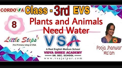 Class 3 || EVS || Chapter 8 || Plants and Animals Need Water