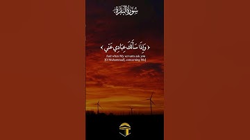 أية من سورة البقرة | جمال الطبيعة وسكينة #قرآن_كريم #quran #اكسبلور