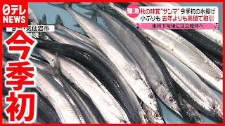 【季節とコロナ】残暑続く中サンマ初水揚げ  学校でクラスターも