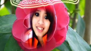 enyonge esih kamutan dan prahu layar (REMIX)