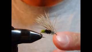 2016-17 Opening: Unnamed Caddis - Mother's Day